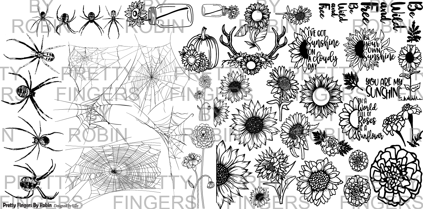 112 - Spiders In The Garden