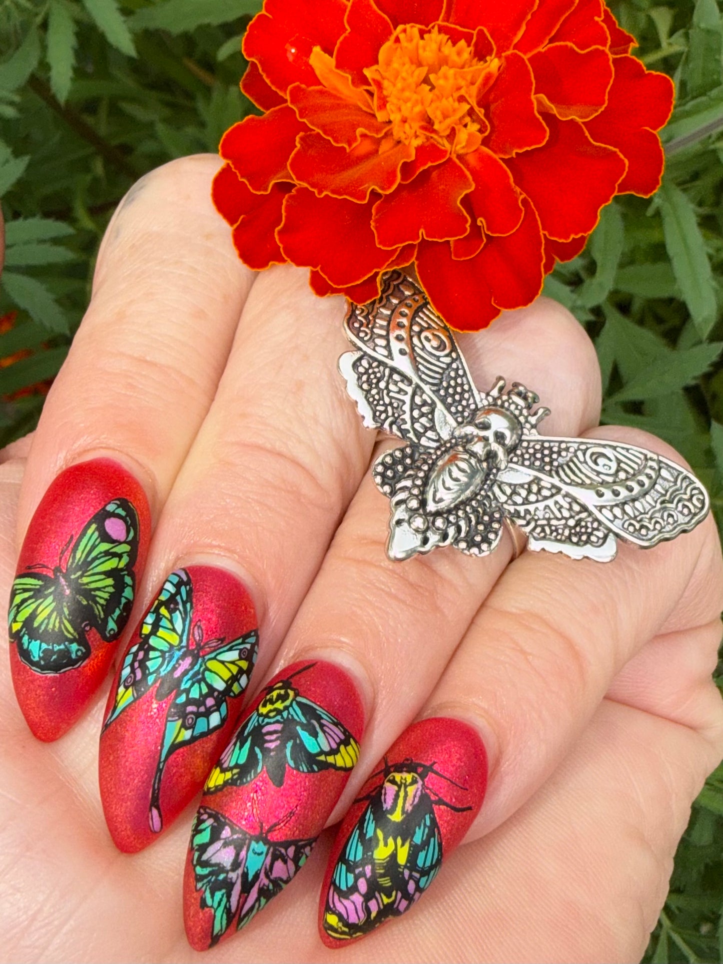 421 - Moths