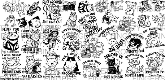 393 - Catitude