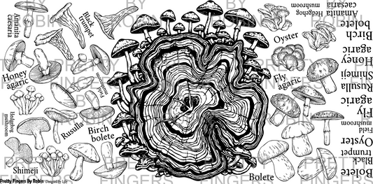 414 - Mushrooms 1