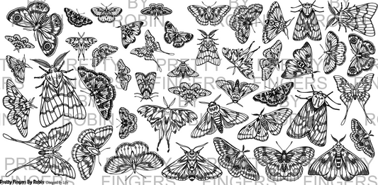 421 - Moths