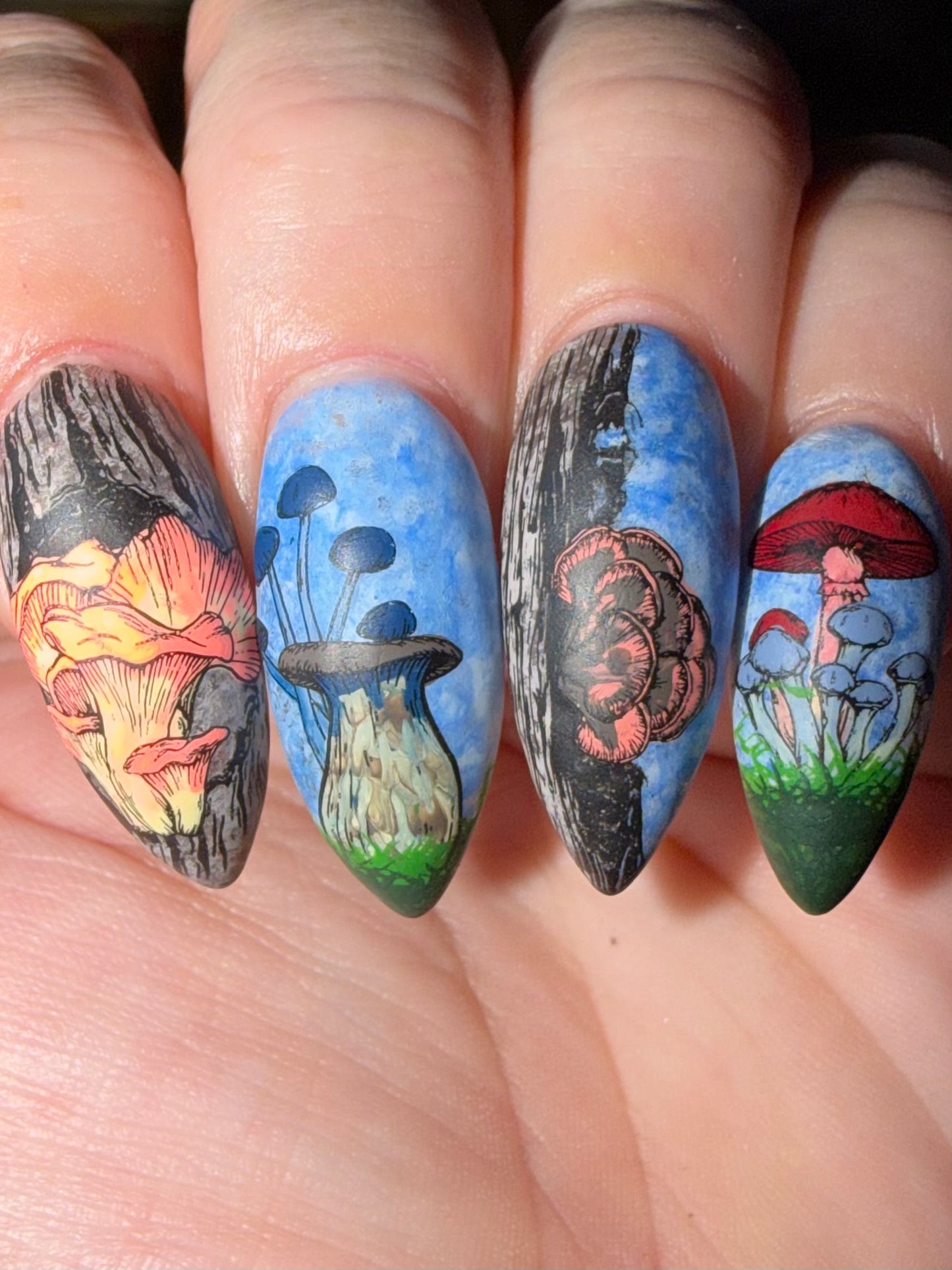 414 - Mushrooms 1