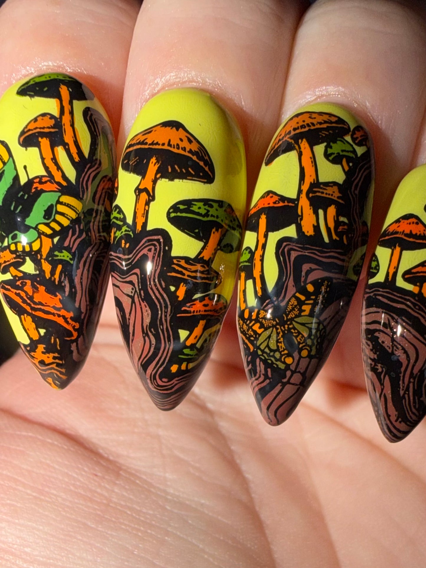 414 - Mushrooms 1