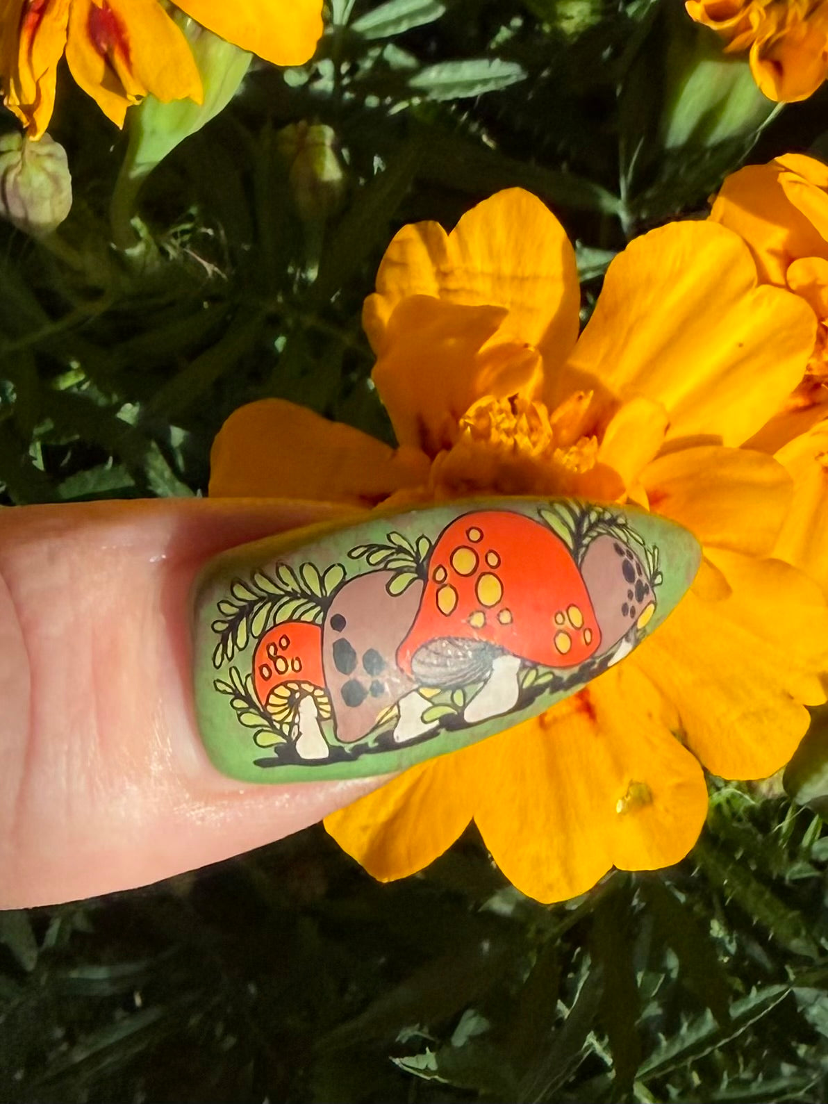 298 - Groovy 70 s Mushrooms