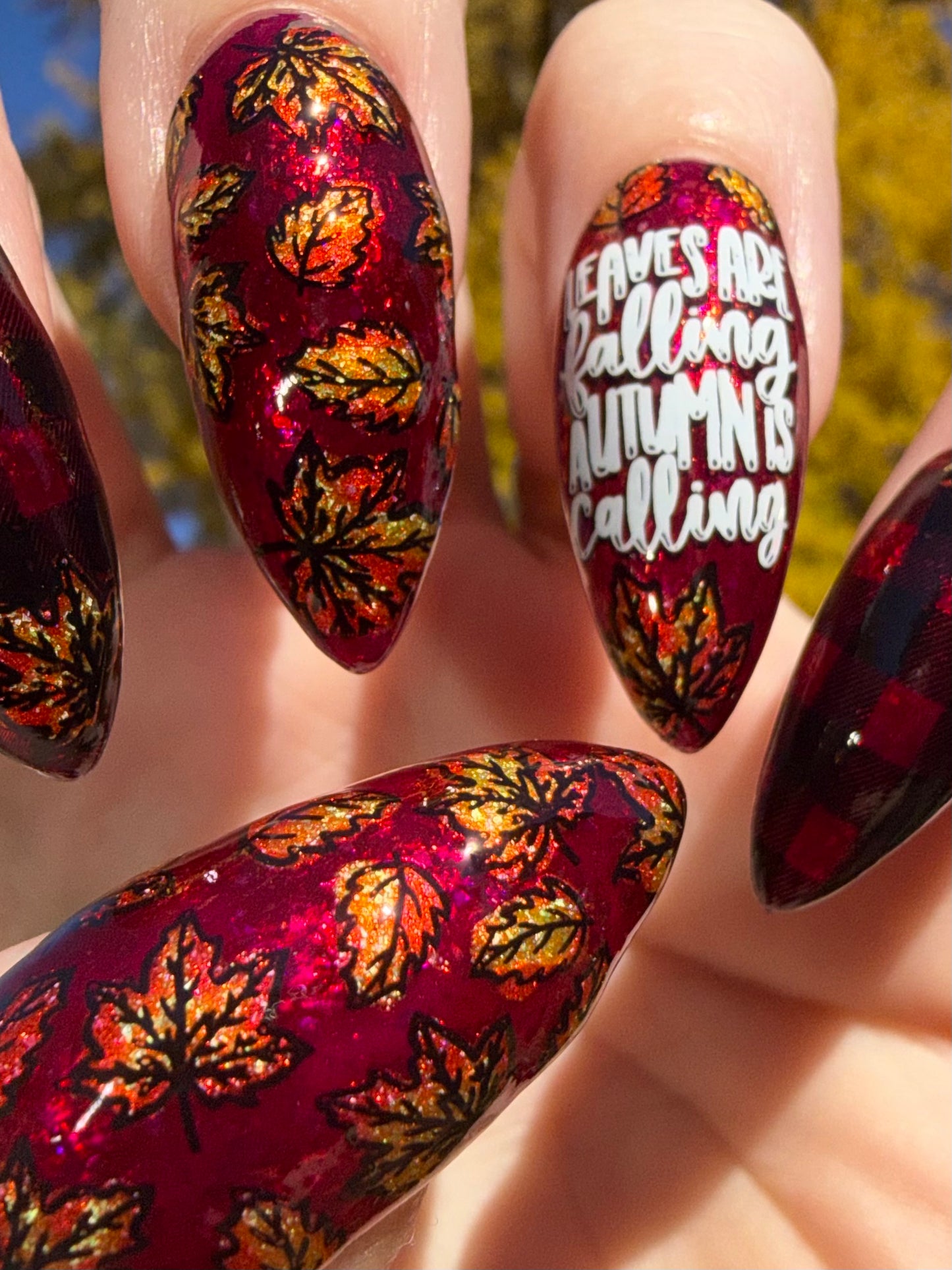 334 - Fall Sayings & Patterns