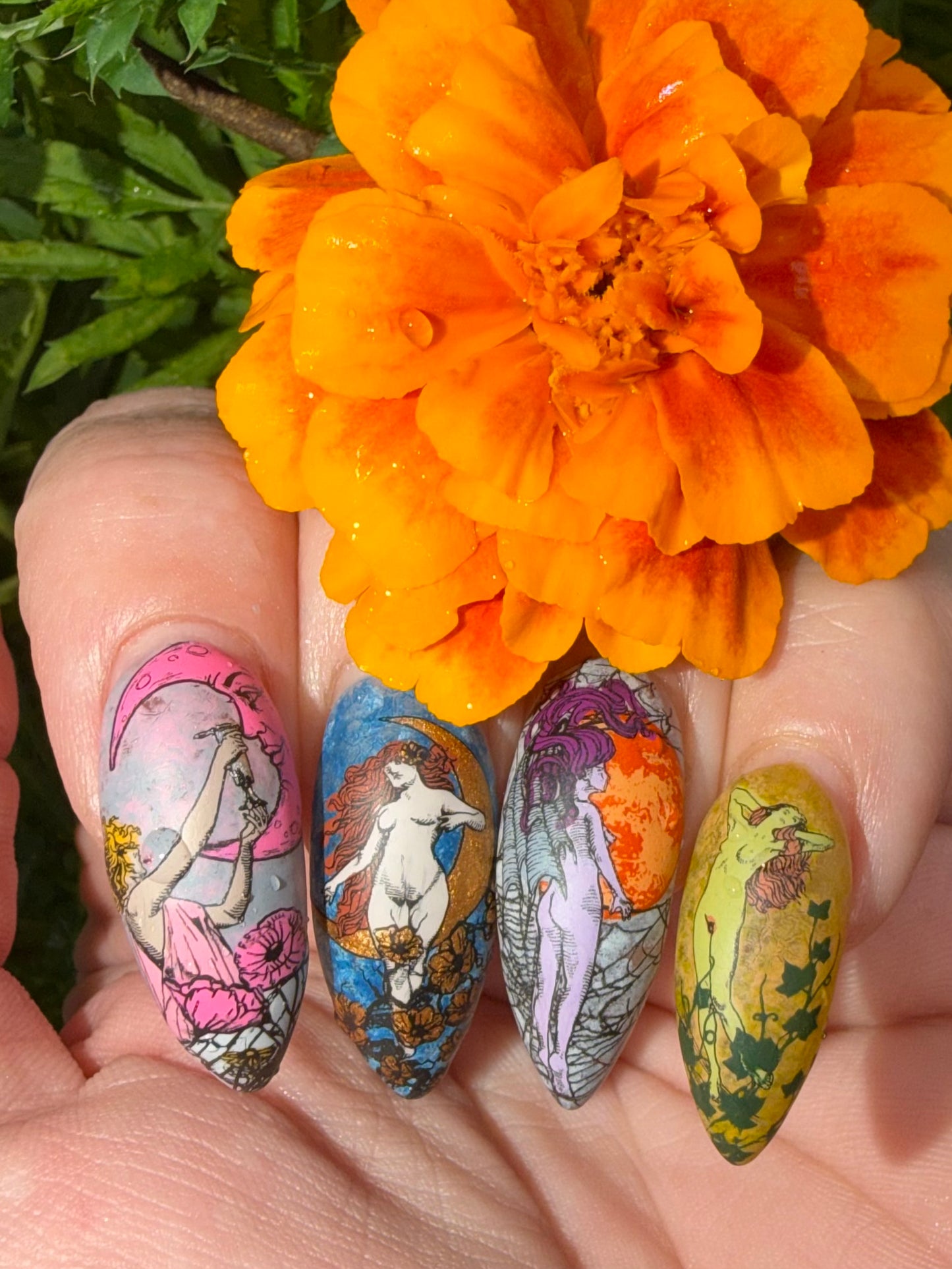 407 - Divine Ladies
