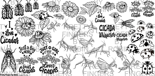 129 - Cicadas & Bugs