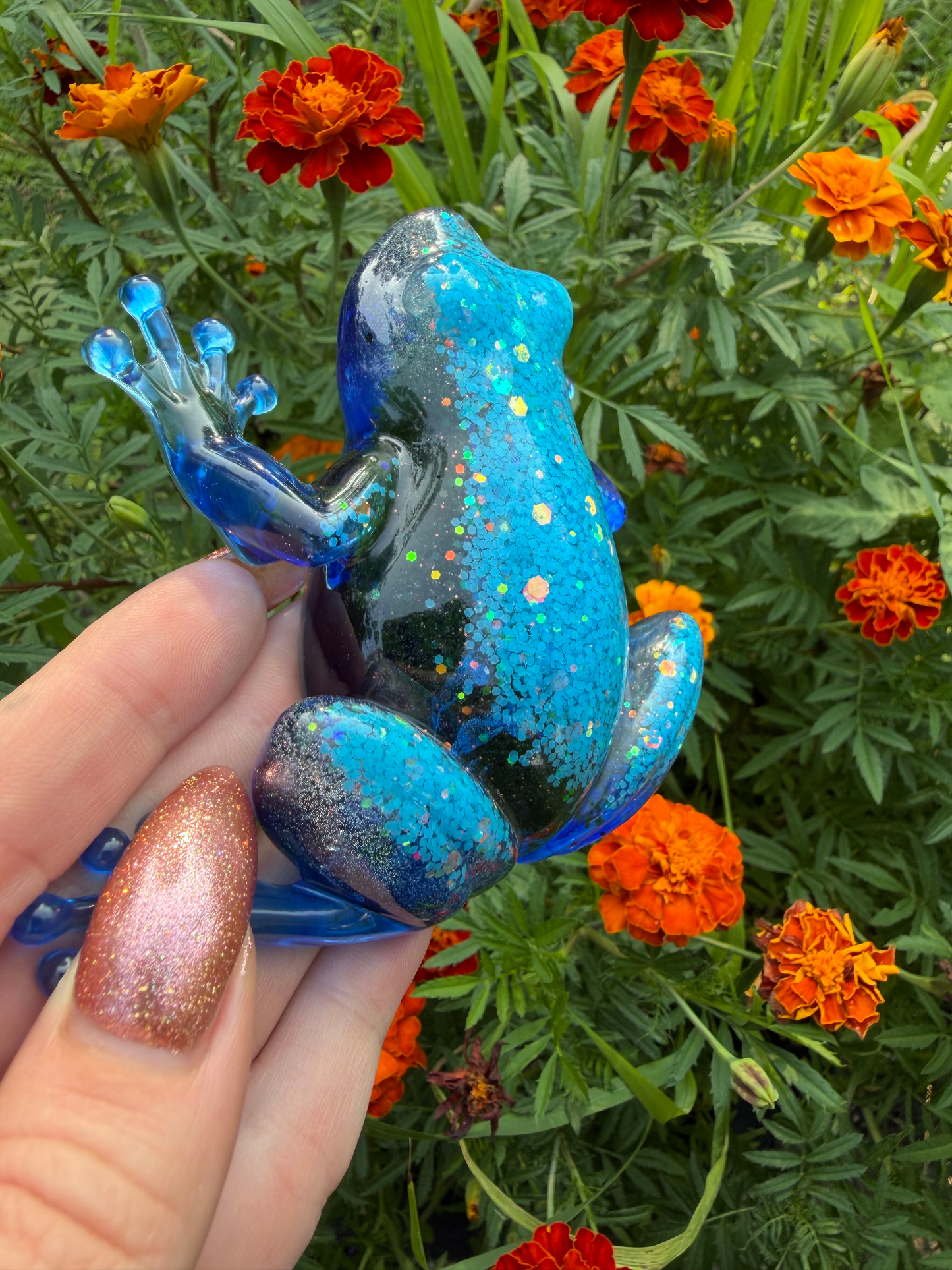 Frog - 2