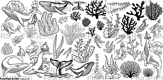 263 - Whales